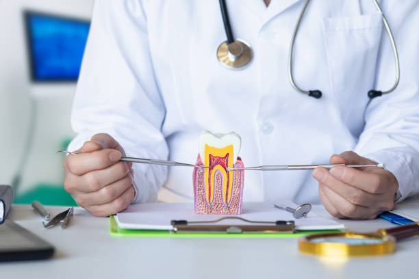 Best Broken or Cracked Tooth Emergency Dentist in White Cloud, MI